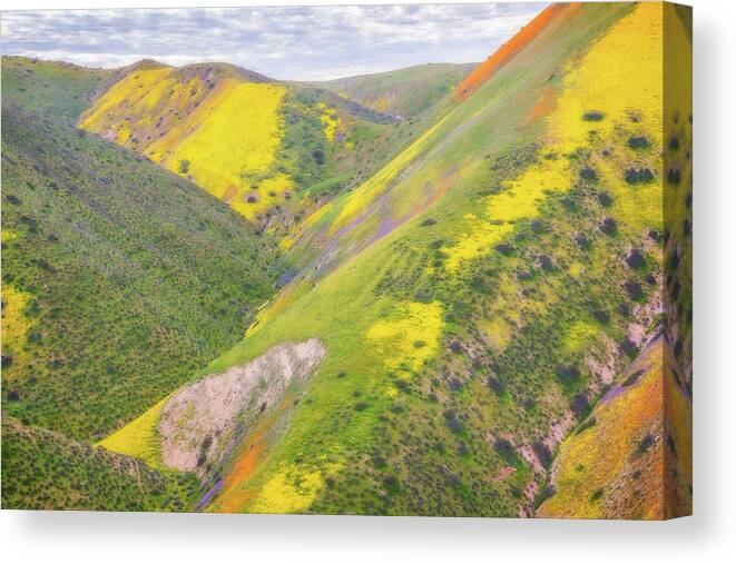 California Canvas Print featuring the photograph Heart of the Temblor Range by Marc Crumpler