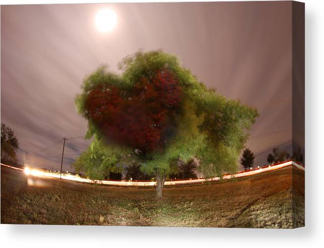 Landscape Canvas Print featuring the photograph Heart tree Scene by Andrew Nourse