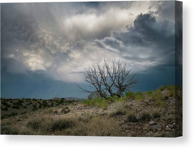 Sky Canvas Print featuring the photograph Heavy Clouds No Rain by Mary Lee Dereske