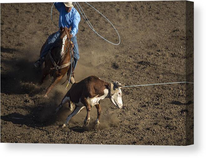 Rodeo Canvas Print featuring the photograph Heeler Up by Caitlyn Grasso