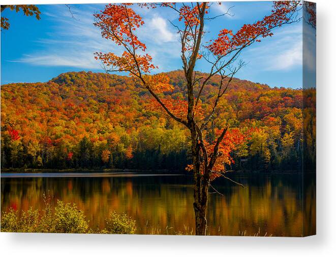 Maple Tree Canvas Print featuring the photograph Heights of Autumn by Tim Kirchoff