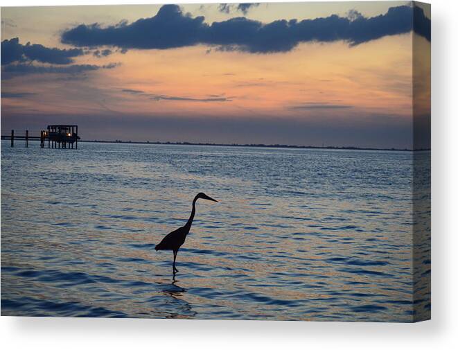 Heron Canvas Print featuring the photograph Heron in the surf by Doug Grey