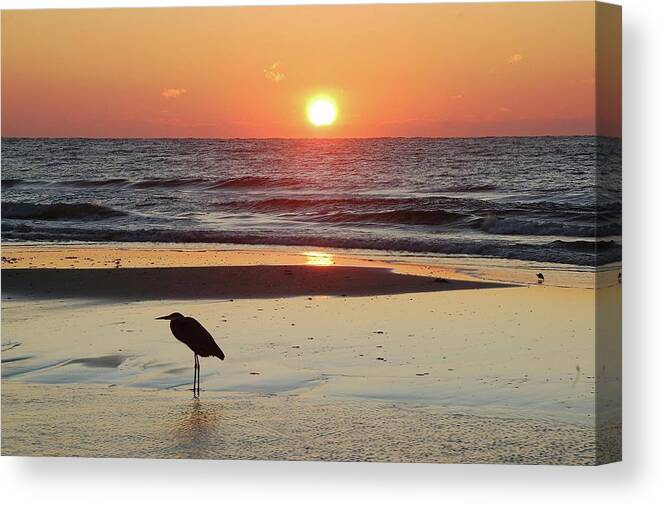 Alabama Photographer Canvas Print featuring the digital art Heron Watching Sunrise by Michael Thomas