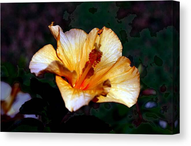 Nature Canvas Print featuring the photograph Hibiscus Heat by David Houston