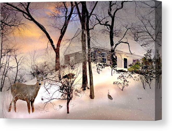 Winter Snow Landscape Canvas Print featuring the photograph The Wish #1 by Diana Angstadt