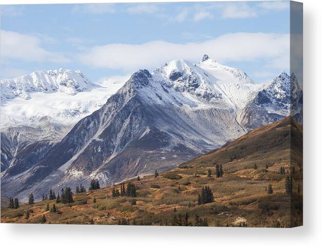British Columbia Canvas Print featuring the photograph High Country in Fall by Michele Cornelius