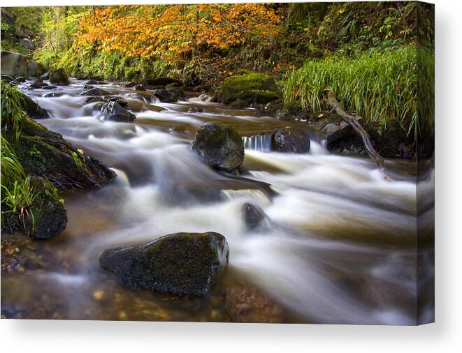 Scotland Canvas Print featuring the photograph Highland River in Autumn by John McKinlay