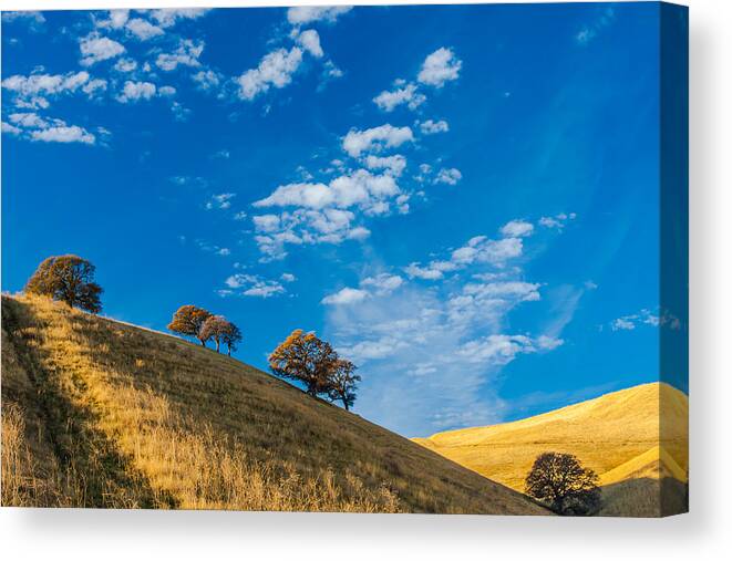 California Canvas Print featuring the photograph Hiking East Bay Hills by Marc Crumpler