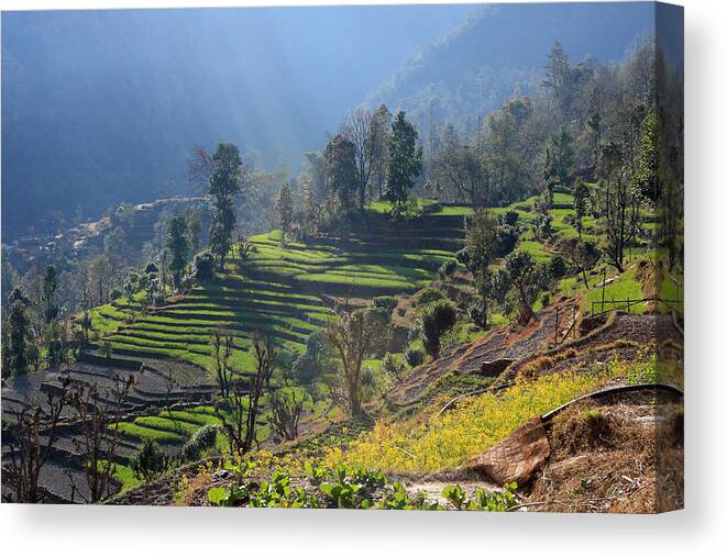 Mountain Canvas Print featuring the photograph Himalayan Stepped Fields - Nepal by Aidan Moran