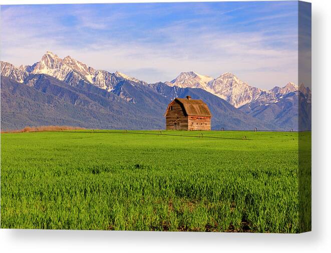 Barn Canvas Print featuring the photograph Historic Pablo Barn by Jack Bell