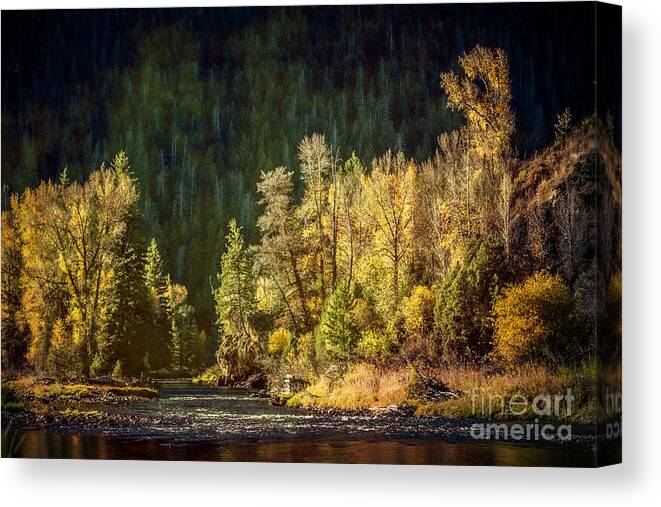 Fish Canvas Print featuring the photograph A Fishing Spot by Lynn Sprowl