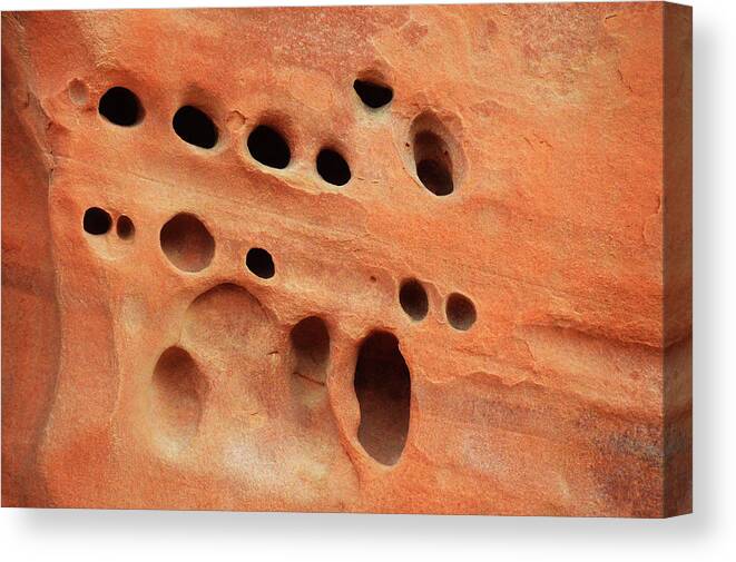 Holes Canvas Print featuring the photograph Holes by Lynellen Nielsen