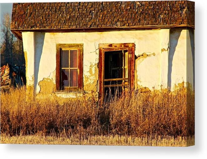  Canvas Print featuring the photograph Homestead Door by Brian Sereda