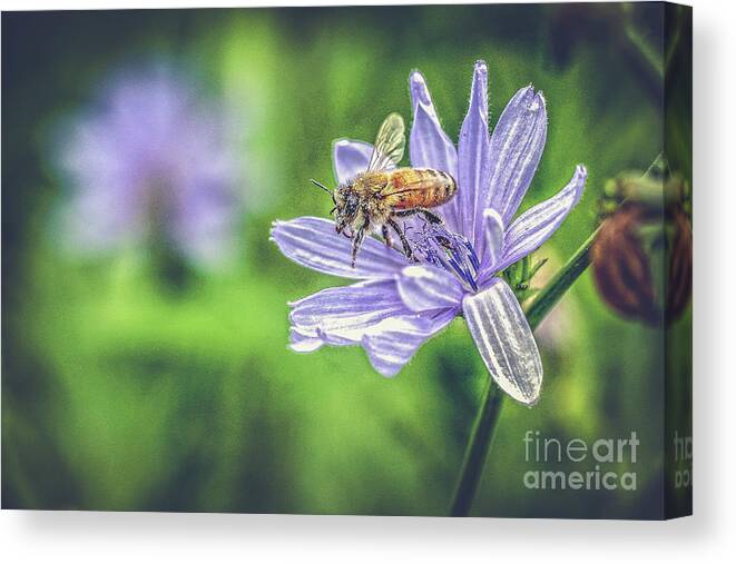 Flower Canvas Print featuring the photograph Honey Bee and Flower by Eleanor Abramson