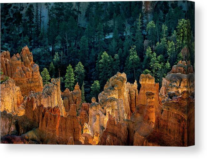 Utah Canvas Print featuring the photograph Hoodoos at Daybreak at Bryce Canyon National Park by Phil Cardamone