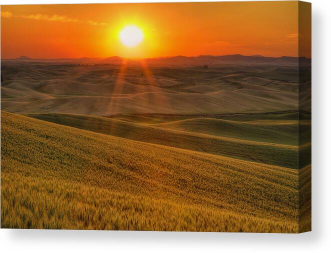 Palouse Canvas Print featuring the photograph Hope and Glory by Mark Kiver