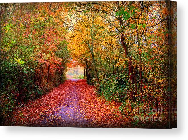 Autumn Canvas Print featuring the photograph Hope by Jacky Gerritsen