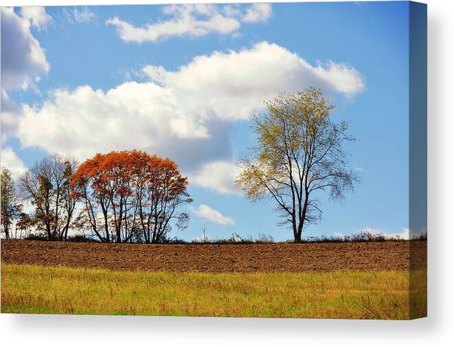Art Canvas Print featuring the photograph Autumn Horizon by JAMART Photography