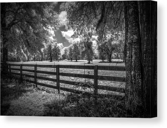 Horse Country # Nature # Tree # Infrared # Infrared Photography #tree Infrared # Nature Infrared #r72 Infrared # Hoya #. Nature #central Florida #rural Florida #florida# United States # North Central Florida #newberry # Black And White Canvas Print featuring the photograph Horse country by Louis Ferreira