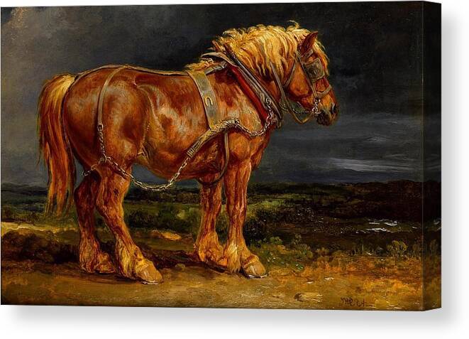 Horse Canvas Print featuring the digital art Horse by Maye Loeser