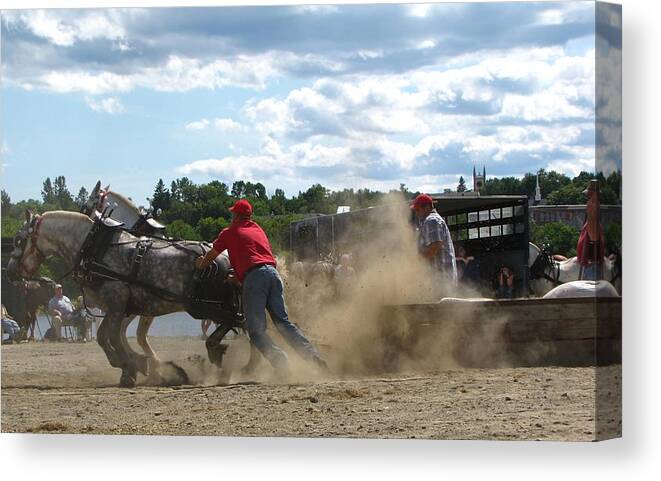 Horses Canvas Print featuring the photograph Horses Pulling the DragD by Devorah Shoshanna