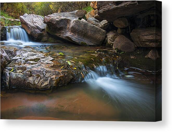 Horton Creek Canvas Print featuring the photograph Horton Creek Arizona Flow by Dave Dilli