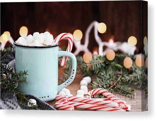 Hot Chocolate Canvas Print featuring the photograph Hot Cocoa with Marshmallows and Candy Canes by Stephanie Frey