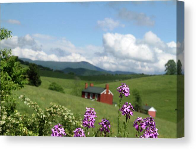 Grass Canvas Print featuring the photograph House on hill in Lexington by Emanuel Tanjala