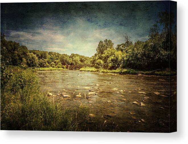 Humber River Canvas Print featuring the photograph Humber River at Old Mill by Nicky Jameson