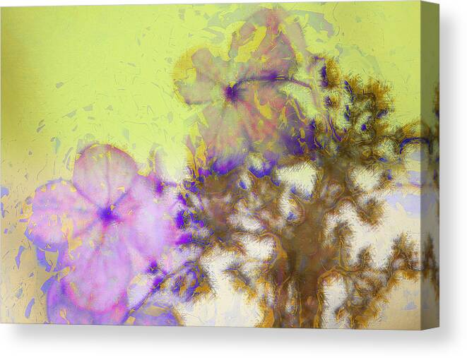 Flower Canvas Print featuring the photograph Hydrangea Blossoms by Julie Lueders 