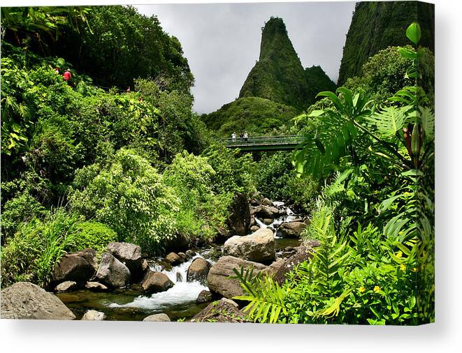Maui Canvas Print featuring the photograph Iao Needle by Nature Photographer
