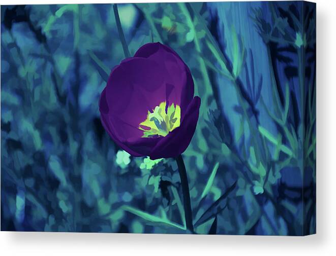 Purple Tulip Canvas Print featuring the photograph Ice Cold Tulip by Aimee L Maher ALM GALLERY