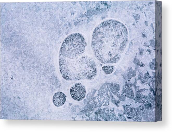 Ice Canvas Print featuring the photograph Ice pattern three by Davorin Mance
