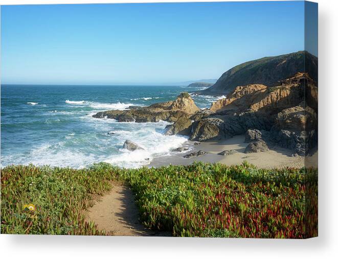 Beach Canvas Print featuring the photograph Ice Plant and the Pacific Ocean by Jim Thompson