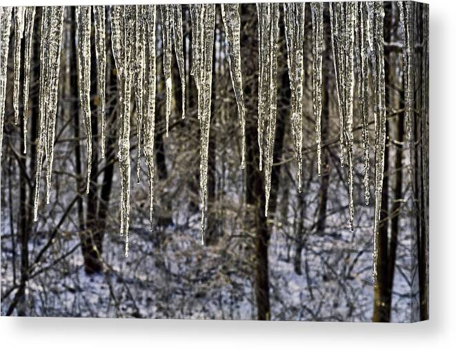 Large Icicles Shimmering Canvas Print featuring the photograph Icicle Decoration by Sally Weigand