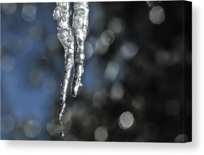 Icicles Canvas Print featuring the photograph Icicles by Sherri Meyer
