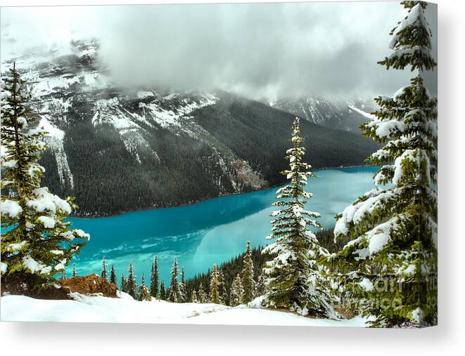 Peyto Lake Fog Canvas Print featuring the photograph Icy Blue Reflections Through The Trees by Adam Jewell