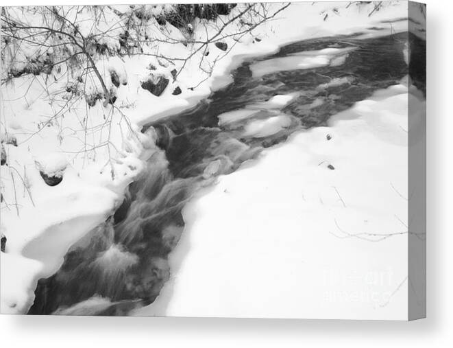 Stream Canvas Print featuring the photograph Icy Swath by Alice Mainville