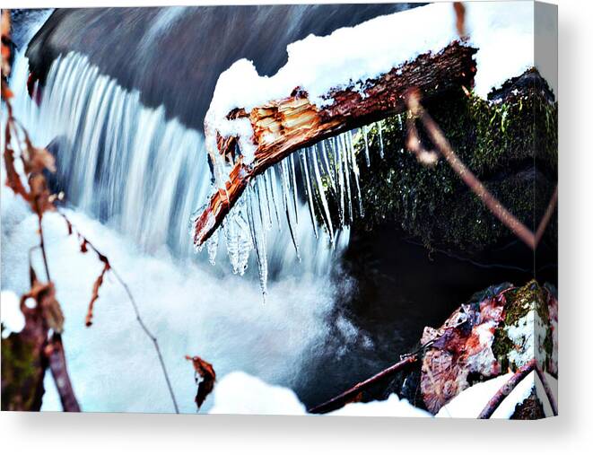 Icy Canvas Print featuring the photograph Icy Waters by Rebecca Davis