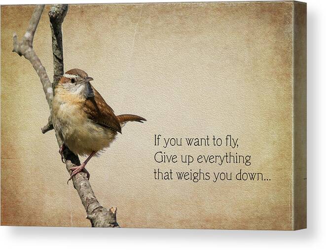 Avian Canvas Print featuring the photograph If You Want To Fly by Cathy Kovarik