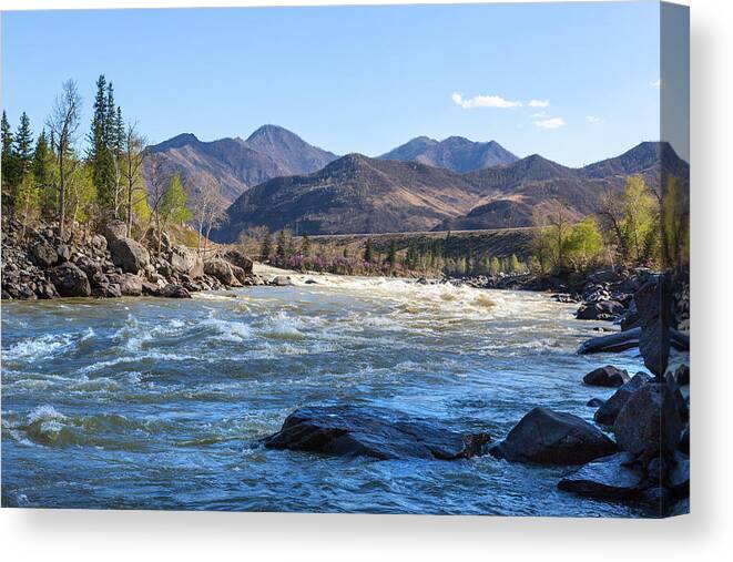 Russian Artists New Wave Canvas Print featuring the photograph Ilgumensky Rapids of River Katun. Altay Mountains by Victor Kovchin