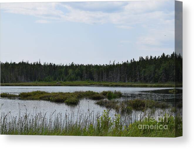 Landscape Canvas Print featuring the photograph Images from Mt. Desert Island Maine 1 by Barrie Stark
