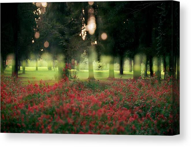 Impressionistic Photography Canvas Print featuring the photograph Impression at the Yarkon Park by Dubi Roman