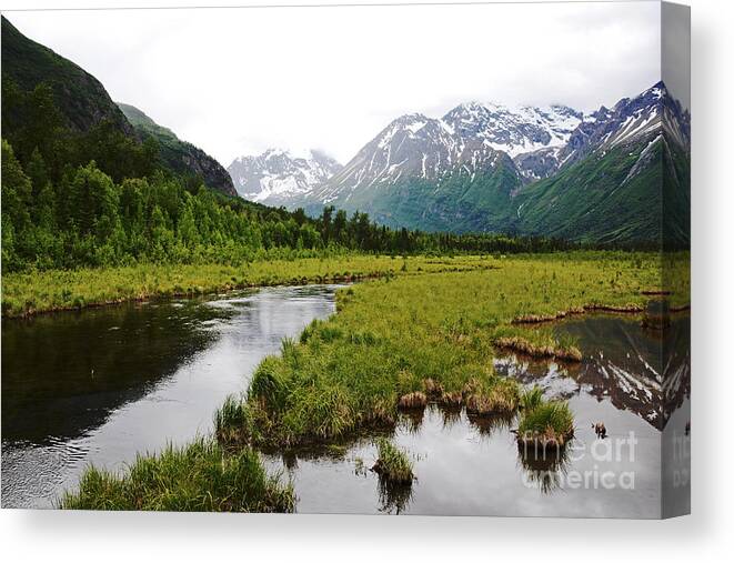 Alaska Canvas Print featuring the photograph In Road To Denali by Lorenzo Cassina