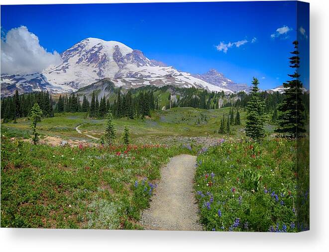 In Search Of Wildflowers Canvas Print featuring the photograph In search of wildflowers by Lynn Hopwood