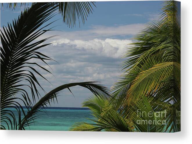Mexico Canvas Print featuring the photograph In the clouds by Wilko van de Kamp Fine Photo Art