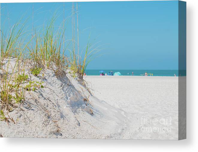 Tree Canvas Print featuring the photograph In the Dunes by JCV Freelance Photography LLC