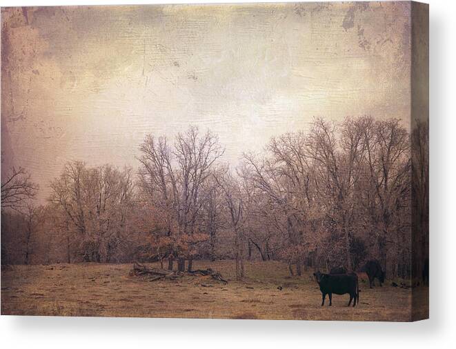 Landscape Canvas Print featuring the photograph In the field by Toni Hopper