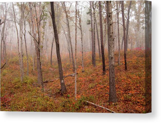 Missouri Canvas Print featuring the photograph In the Fog by Steve Stuller