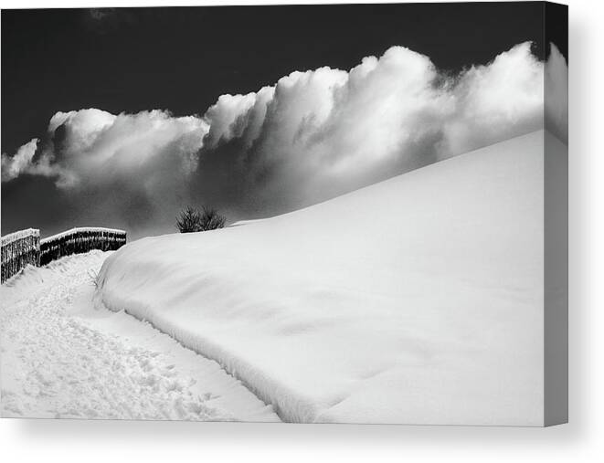 Bw Canvas Print featuring the photograph in the Ore Mountains by Dorit Fuhg